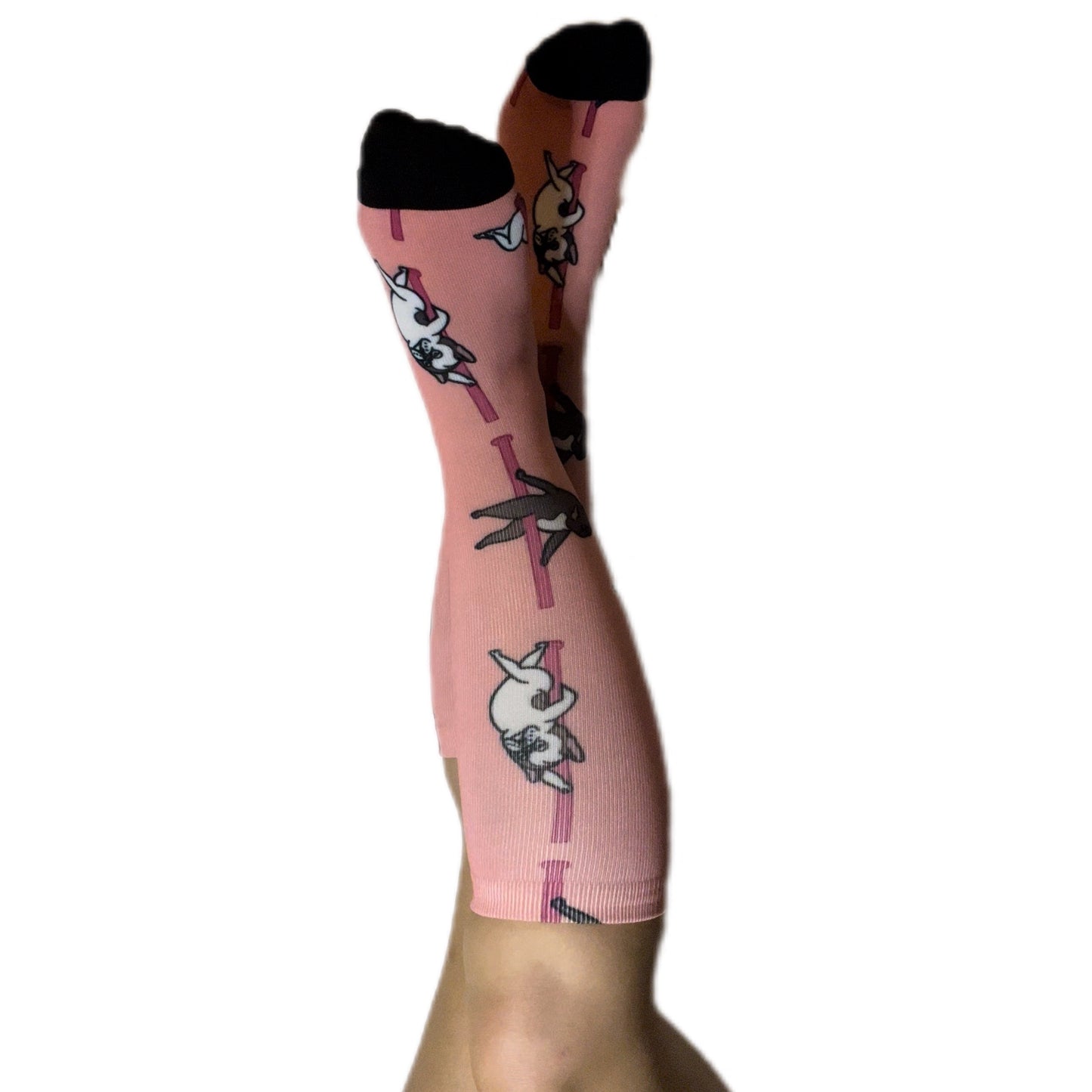 pole dance fitness socks dog dogs avocado unicorn bulldog poodle corgie